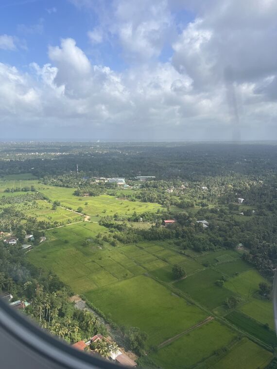 着陸直前の機窓。区画された農地とヤシ林、点在する住宅