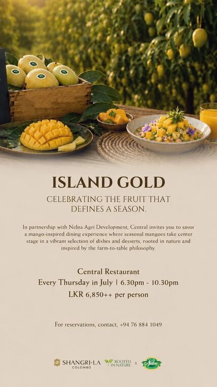 ISLAND GOLDの告知。マンゴーの木を背景に木箱の生マンゴーとマンゴー料理。Central Restaurant、Every Thursday in July 6.30pm-10.30pm、LKR 6,850++ per personの表記
