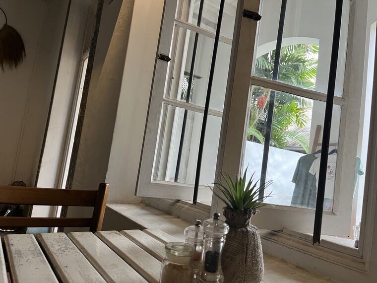 Seed Cafeの窓際の席。白い木製テーブルと格子窓、窓の外にヤシの木、窓辺に多肉植物の鉢と調味料が並ぶ