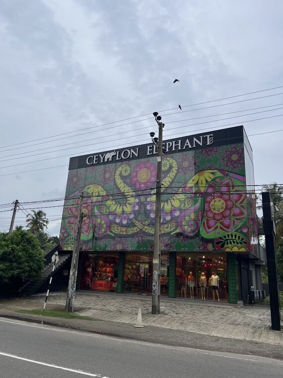 CEYLON ELEPHANTの看板が乗った2階建ての建物。壁一面に象と花のカラフルな絵が描かれ、1階のガラス張りの店内にマネキンが並ぶ