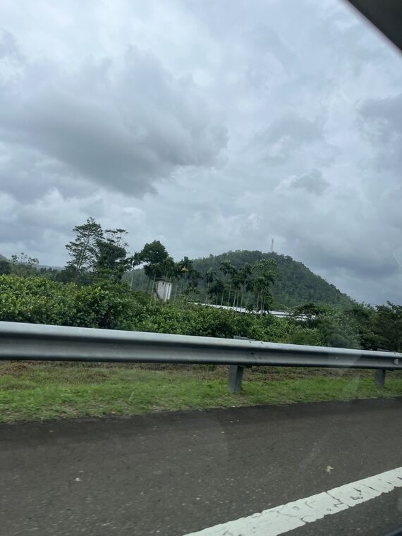 高速道路のガードレール越しに見える緑の丘陵とヤシの木立。曇り空。手前に路面と白線