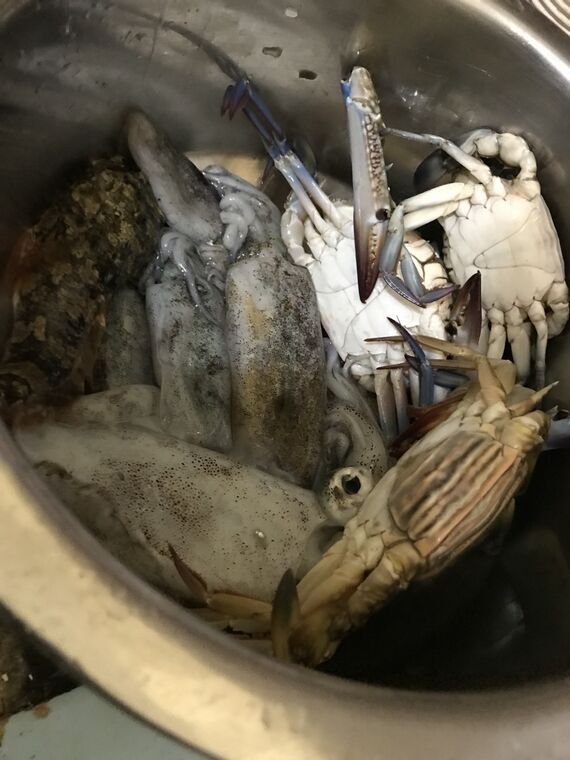 ステンレスの鍋の中に、生の烏賊と青い爪のワタリガニが数杯入っている