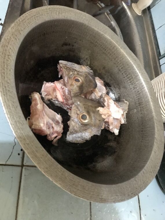 床に置いた大きな金属の鉢に、目の見える魚の頭が2つと腹身・尾側の切り身が数切れ入っている