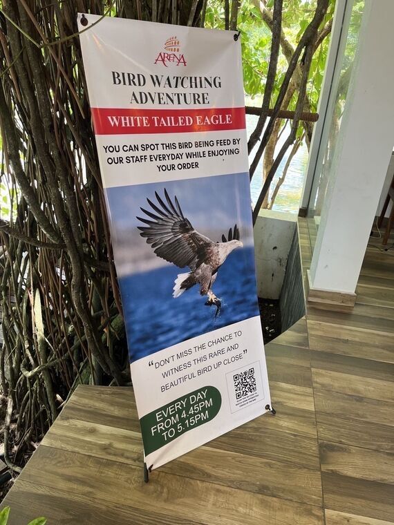 BIRD WATCHING ADVENTUREの案内バナー。WHITE TAILED EAGLE、EVERY DAY FROM 4.45PM TO 5.15PMの表記