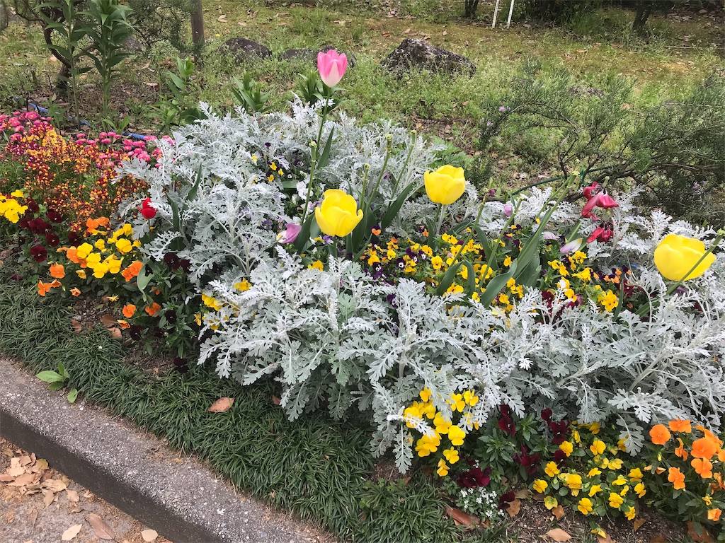 f:id:mah_nya:20190422181954j:image f:id:mah_nya:20190422181954j:image