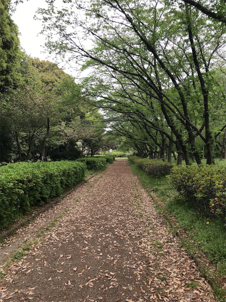 f:id:mah_nya:20190423225752j:image f:id:mah_nya:20190423225752j:image