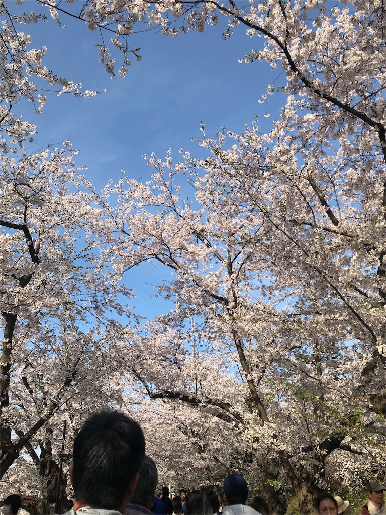 f:id:mah_nya:20190429031609j:image f:id:mah_nya:20190429031609j:image