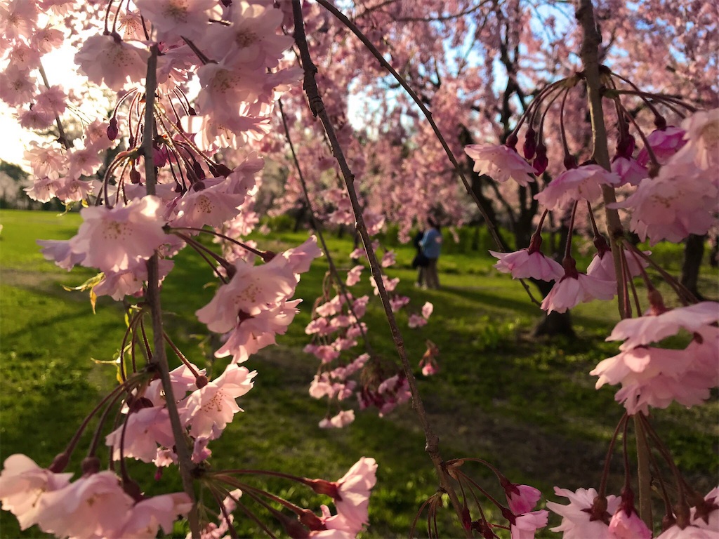 f:id:mah_nya:20190429033148j:image f:id:mah_nya:20190429033148j:image