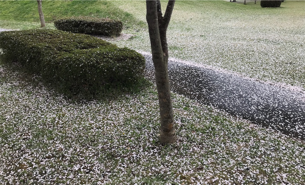 f:id:mah_nya:20190430150626j:image f:id:mah_nya:20190430150626j:image