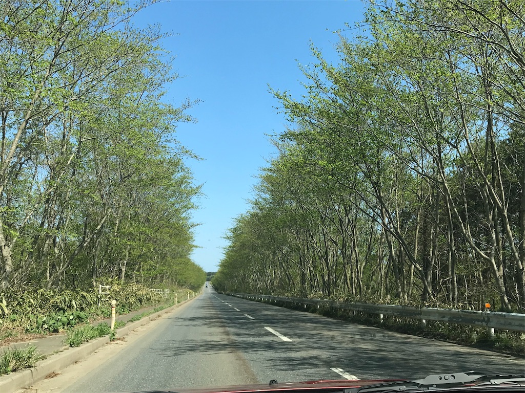 f:id:mah_nya:20190505195751j:image f:id:mah_nya:20190505195751j:image