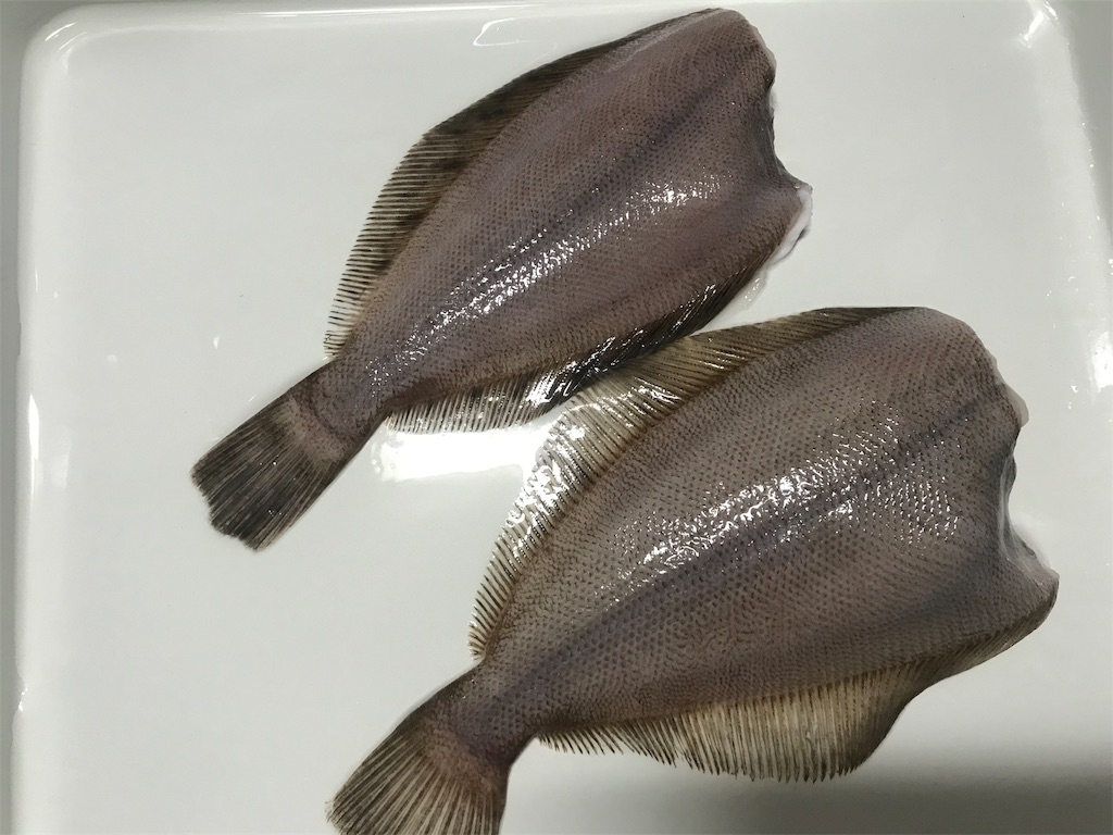 f:id:mah_nya:20190509212111j:image f:id:mah_nya:20190509212111j:image