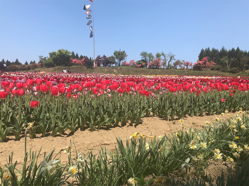 f:id:mah_nya:20190511171417j:image f:id:mah_nya:20190511171417j:image