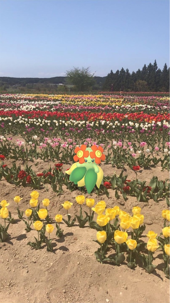 f:id:mah_nya:20190511172112j:image f:id:mah_nya:20190511172112j:image