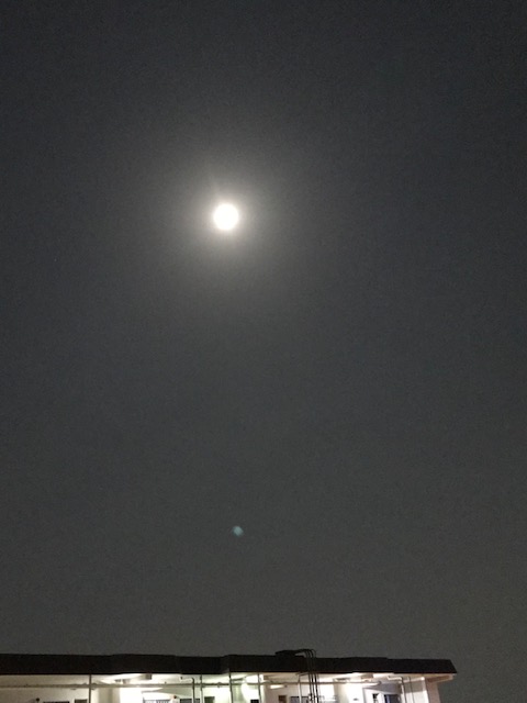 f:id:mahaashi:20200410232054j:plain f:id:mahaashi:20200410232054j:plain