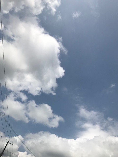 f:id:mahaashi:20200730000134j:plain