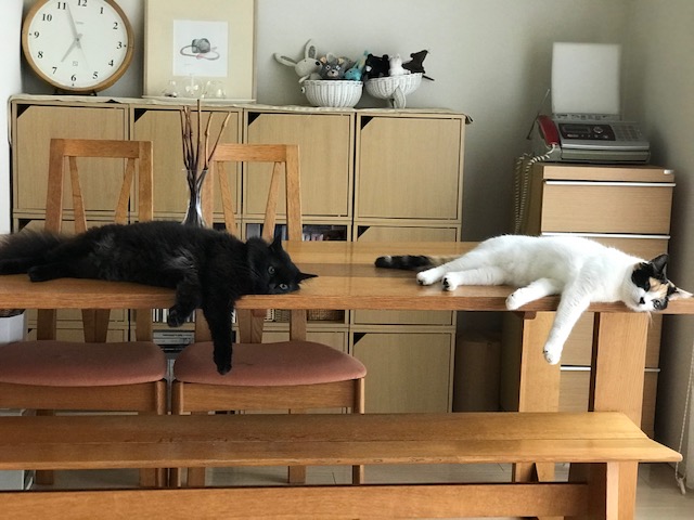 f:id:mahaashi:20200808234203j:plain f:id:mahaashi:20200808234203j:plain