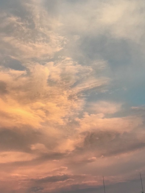 f:id:mahaashi:20200903204236j:plain