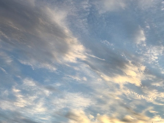 f:id:mahaashi:20201020235050j:plain