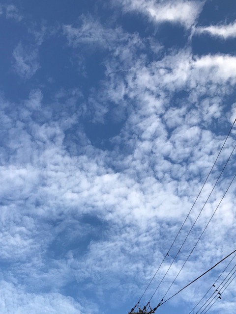 f:id:mahaashi:20201021000533j:plain