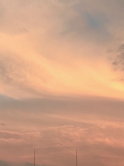 f:id:mahaashi:20201021235226j:plain f:id:mahaashi:20201021235226j:plain