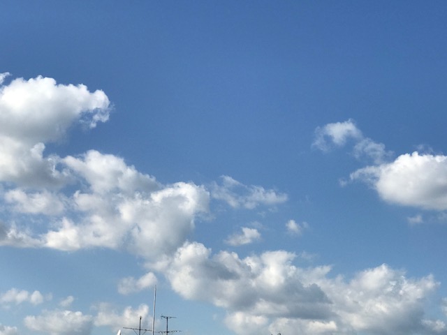 f:id:mahaashi:20201024231405j:plain