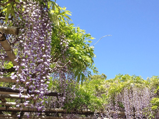 f:id:mahaashi:20201103211448j:plain f:id:mahaashi:20201103211448j:plain