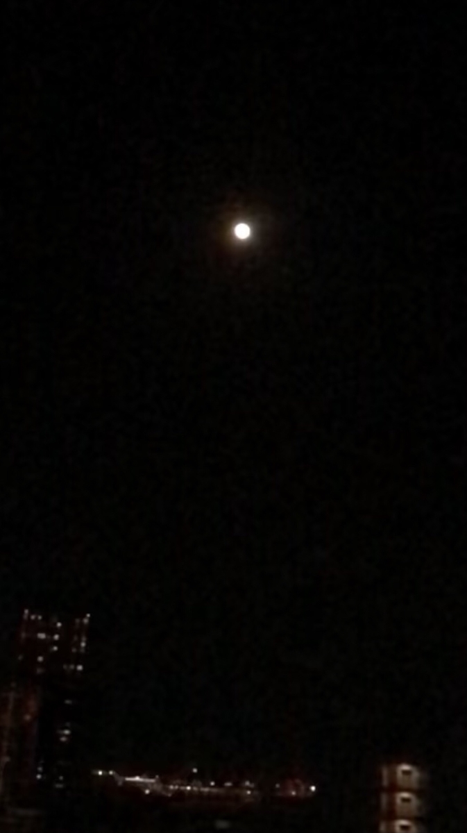 f:id:mahaashi:20201201233943j:plain