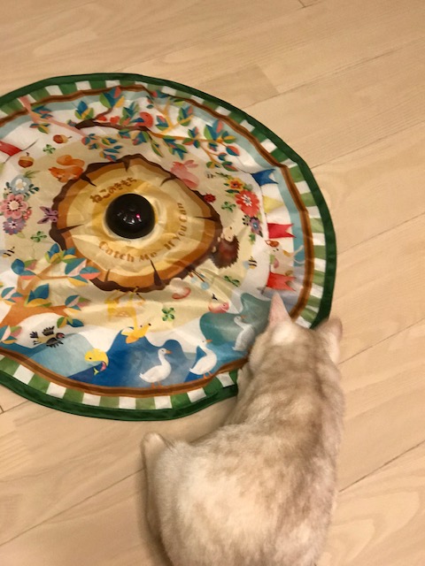 f:id:mahaashi:20210110110414j:plain