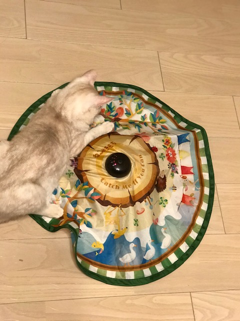 f:id:mahaashi:20210110111122j:plain