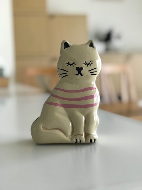 f:id:mahaashi:20210224235551j:plain