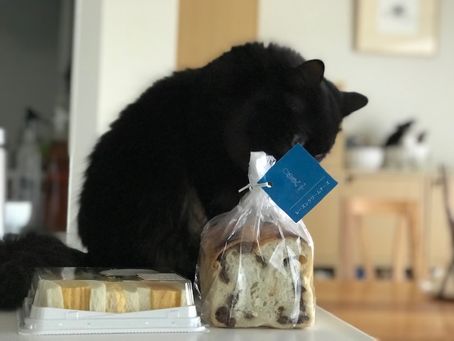 f:id:mahaashi:20210321234530j:plain