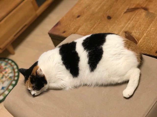 f:id:mahaashi:20210329003016j:plain