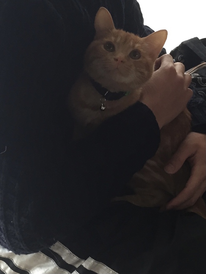 f:id:mahaashi:20210824235645j:plain