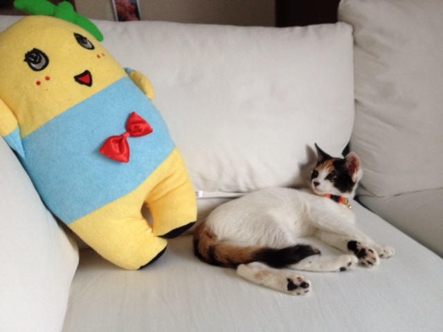 f:id:mahaashi:20210930224723j:plain