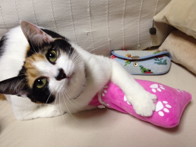 f:id:mahaashi:20210930225723j:plain