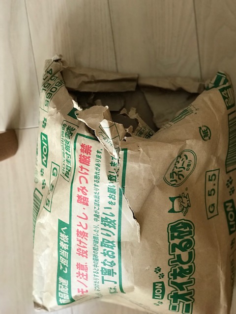 f:id:mahaashi:20220320124953j:plain
