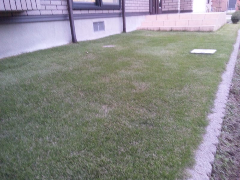 f:id:mahachi:20121027165202j:image:w640