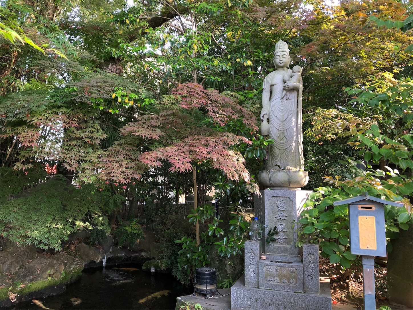 f:id:mahalo1106:20180512040702j:image