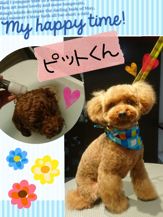f:id:mahaloblog:20161108163117j:plain f:id:mahaloblog:20161108163117j:plain