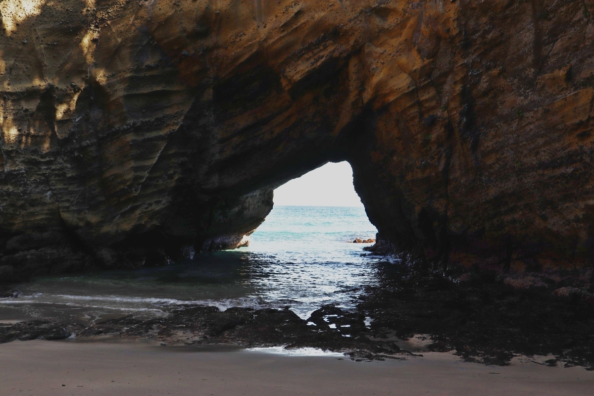 f:id:maharu0905:20190511174751j:plain