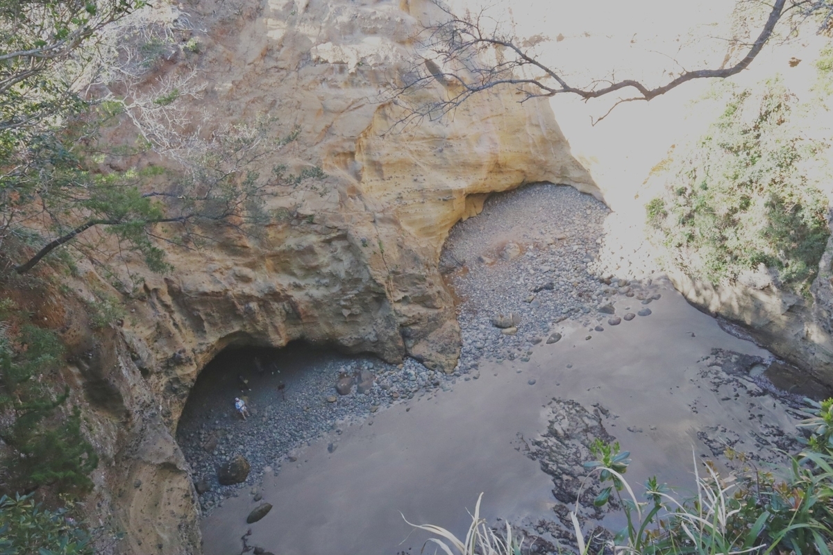 f:id:maharu0905:20190511174804j:plain