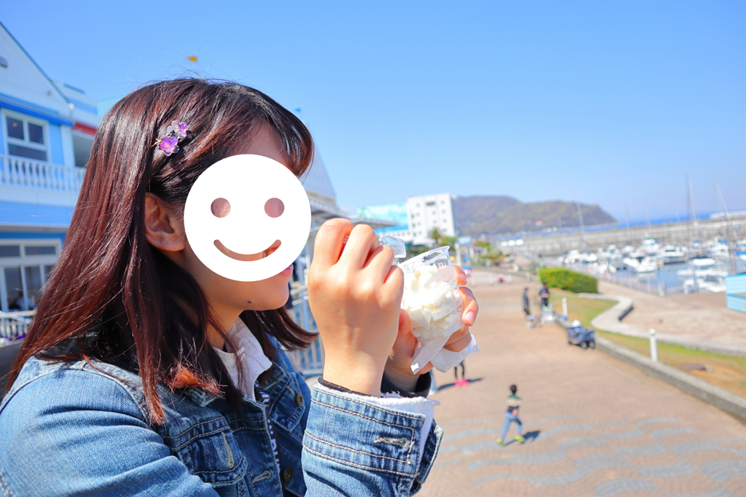 f:id:maharu0905:20190513191739p:plain