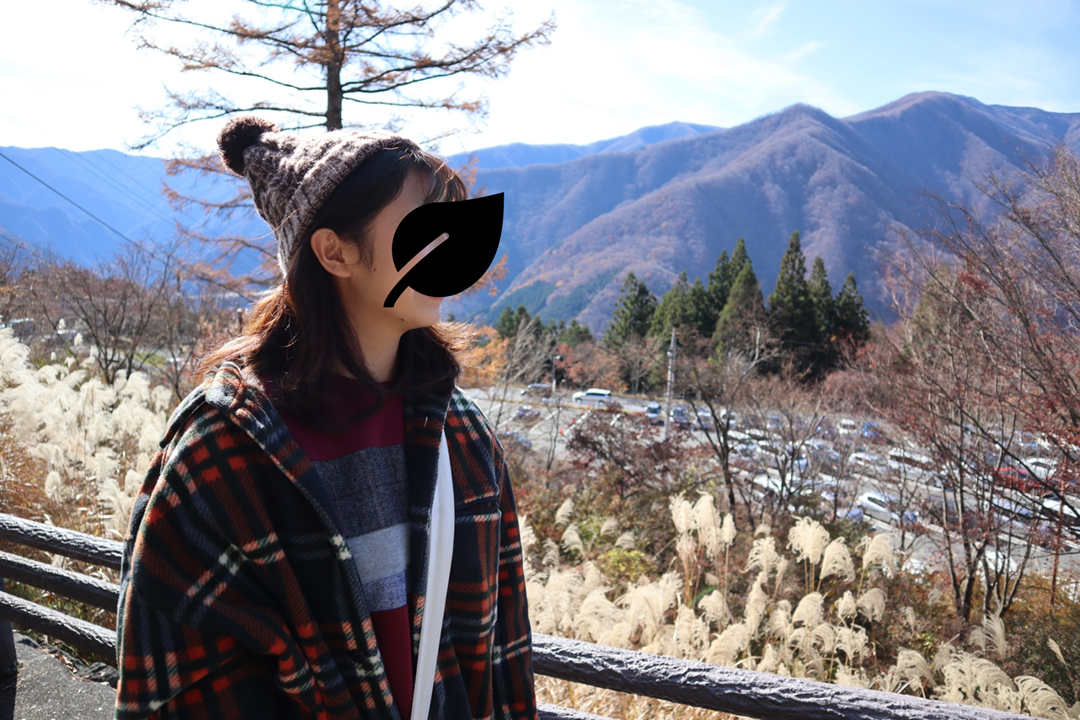 f:id:maharu0905:20190729224649p:plain