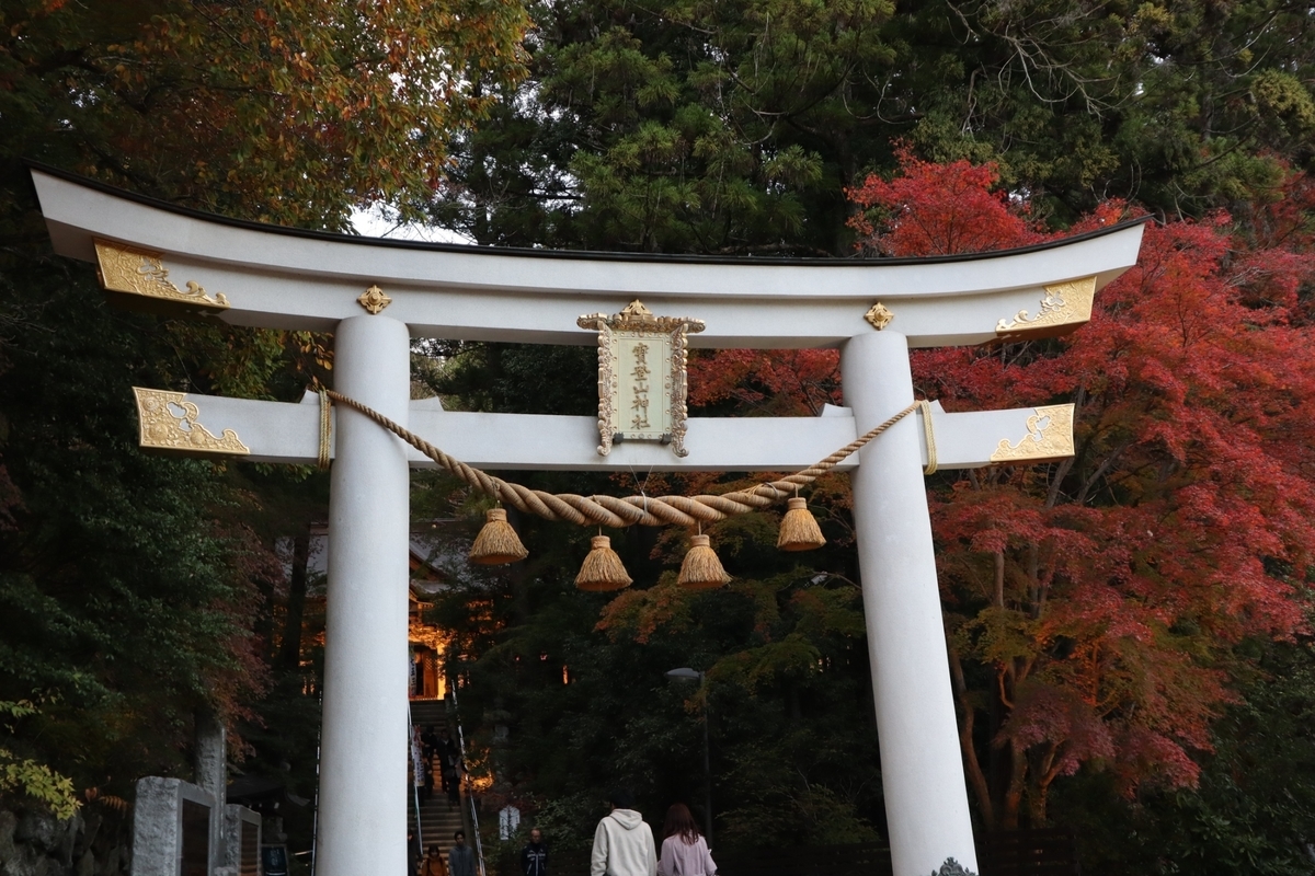 f:id:maharu0905:20190729225657j:plain