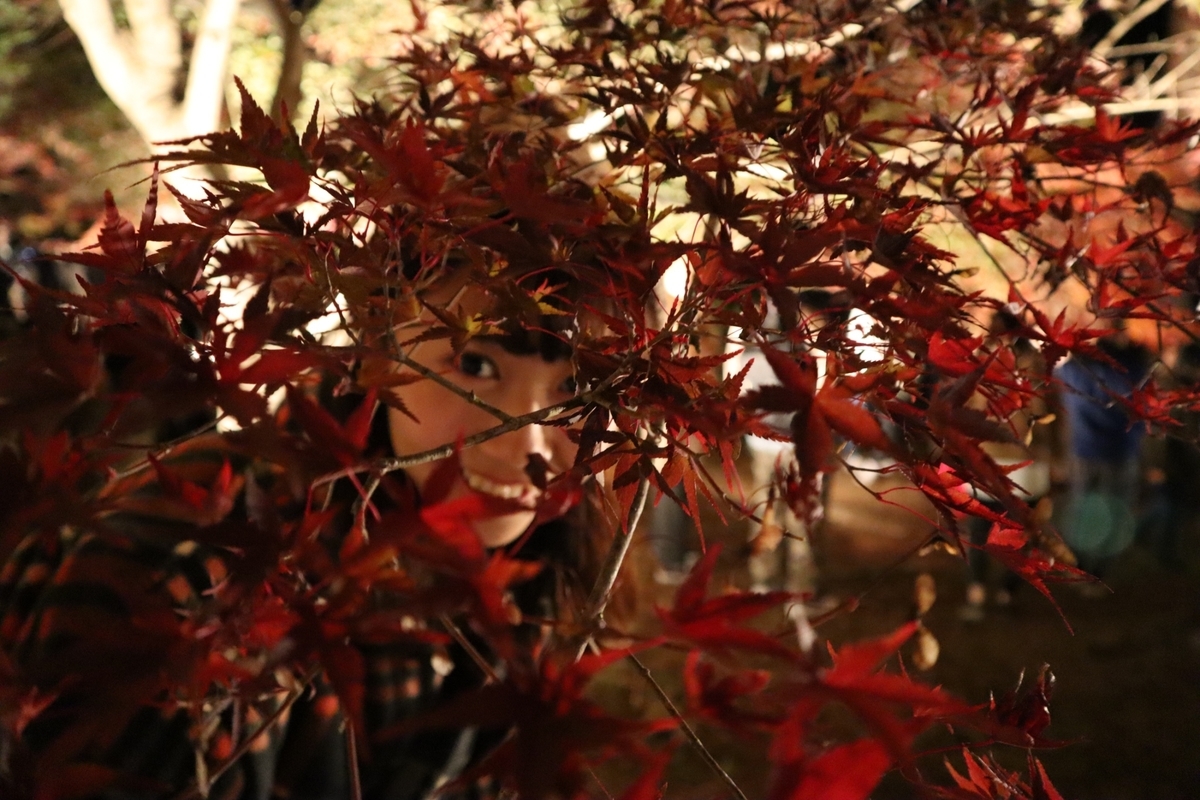 f:id:maharu0905:20190729230422j:plain