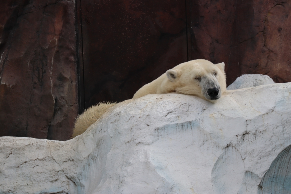 f:id:maharu0905:20191005233538j:plain f:id:maharu0905:20191005233538j:plain