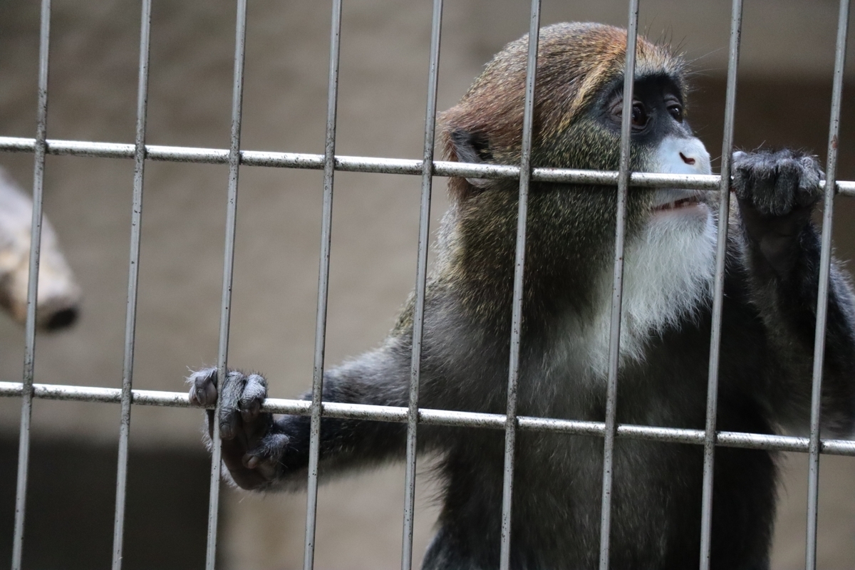 f:id:maharu0905:20191005233730j:plain f:id:maharu0905:20191005233730j:plain