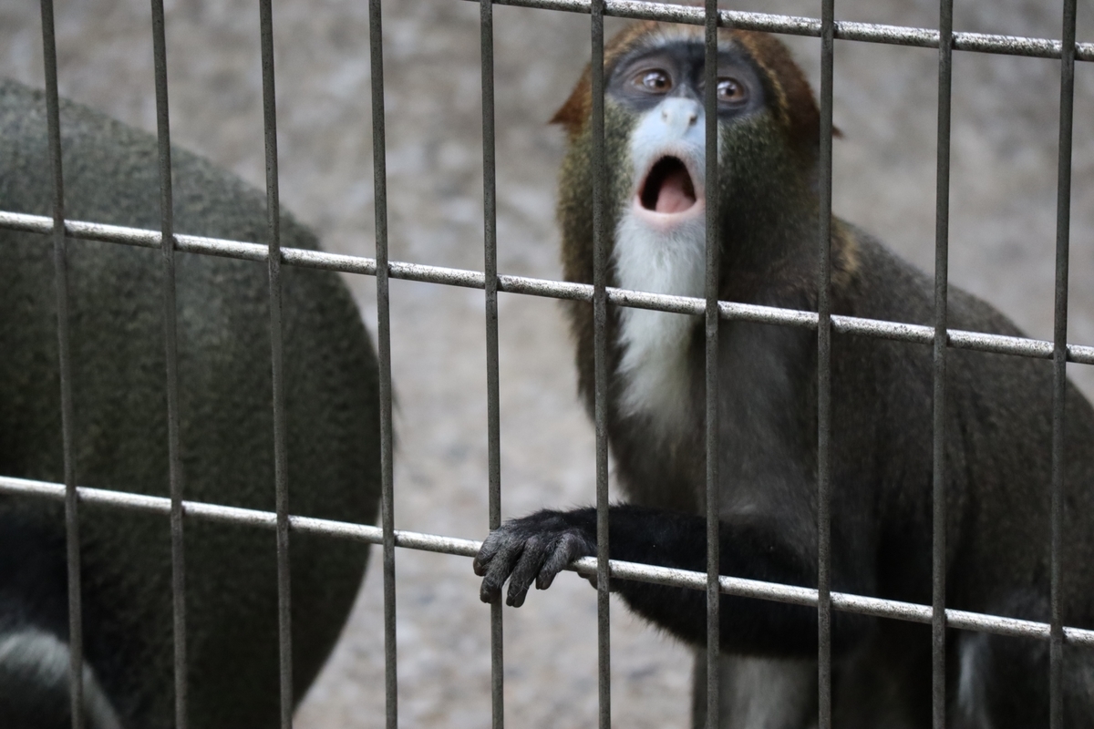 f:id:maharu0905:20191005233754j:plain f:id:maharu0905:20191005233754j:plain