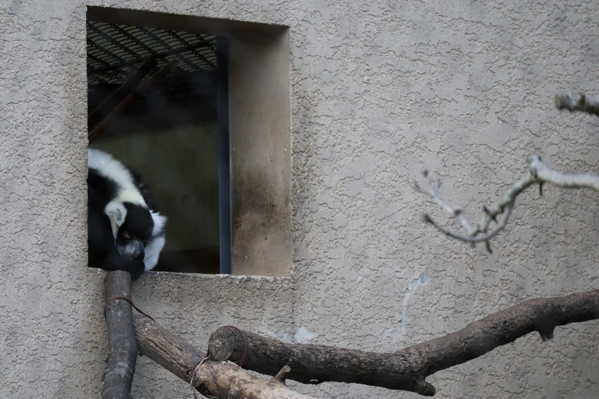 f:id:maharu0905:20191005235533j:plain f:id:maharu0905:20191005235533j:plain