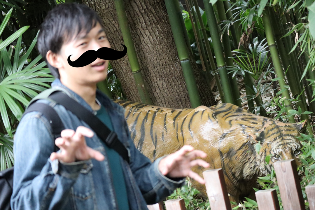 f:id:maharu0905:20191006001747p:plain f:id:maharu0905:20191006001747p:plain